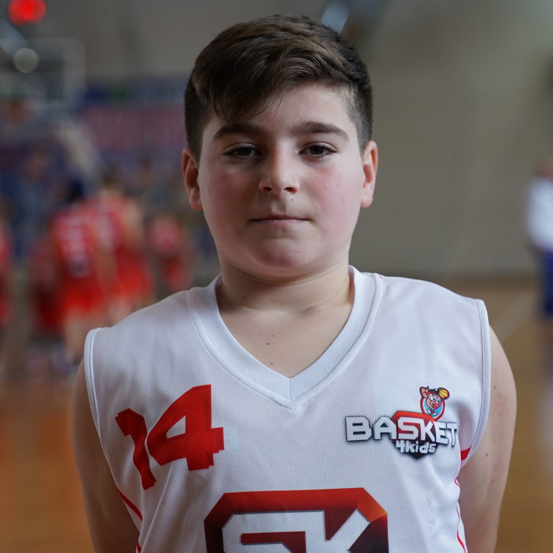 Daris Hamidović