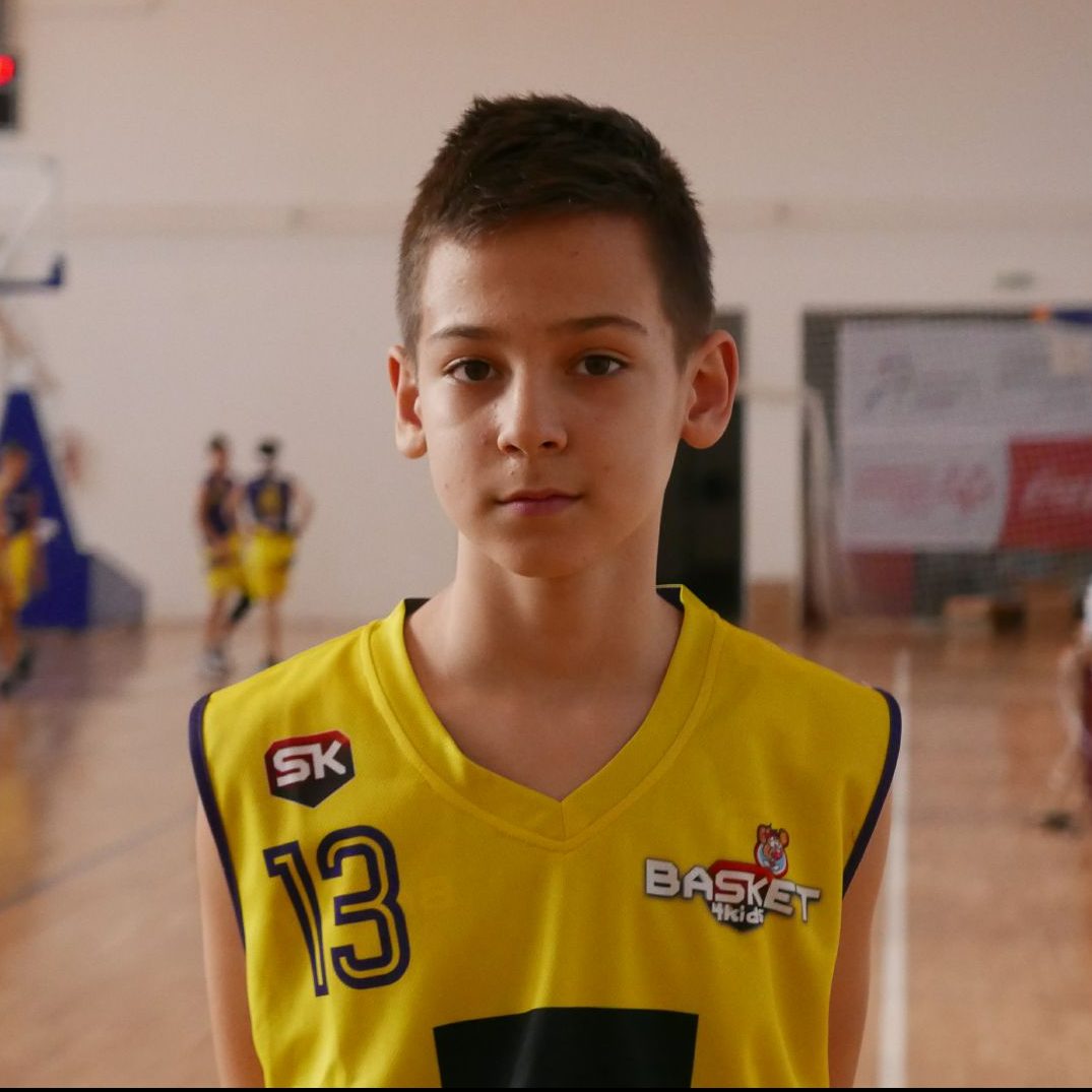 Nikša Dišić