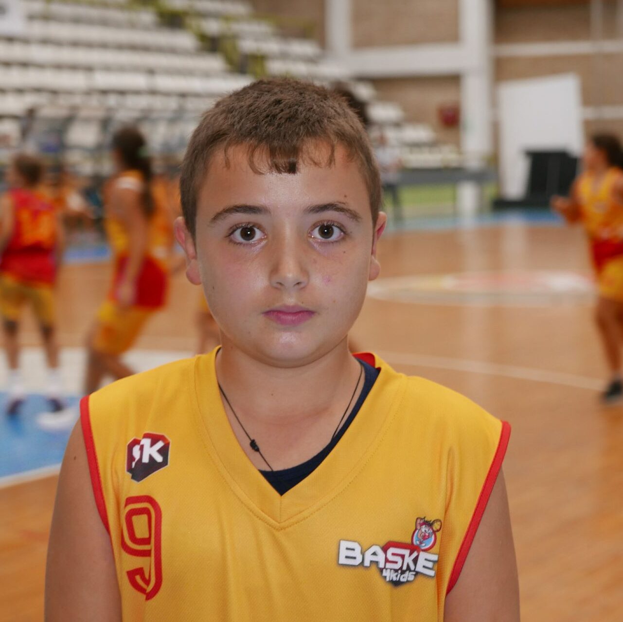 Stojan Ilic